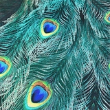 Платье New Life Павлин, р.44, разноцветный (360/6921) - Pampik - 4