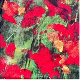 Сарафан трикотажний Pietro Brunelli, віскоза, р.40, червоний, (238/3485) - Pampik - 5