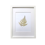 Постер Sabo Golden Fern, білий (PS07) - Pampik