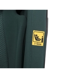 Автокрісло Cavoe Grand Prix Pro I-SIZE Izofix 15-36 Forest (F/CA/GRAND/PRIX/PRO/FO) - Pampik - 13