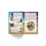 Ілюстрований атлас живої природи (F00014008) - Pampik - 9