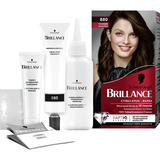 Краска для волос Brillance 880 Темный каштан, 143,7 мл - Pampik - 2