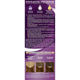 Краска для волос Palette W5 Золотистый грильяж, 110 мл - Pampik - 3