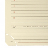 Щоденник Leo Planner Whisky А5, датований 2026, 368 сторінок, коричневий (252670) - Pampik - 13