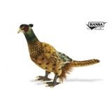 М'яка іграшка Hansa Фазан, 31 см (3846) - Pampik - 2