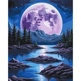 Картина по номерам ArtCraft Ночная магия 40х50 см (11059-AC) - Pampik