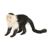 М'яка іграшка Hansa Мавпа капуцин, довжина 35 см (5852) - Pampik