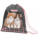 Сумка для взуття 1 Вересня SB-10 Keith Kimberlin, сірий з рожевим (557875) - Pampik