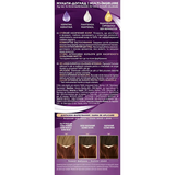 Краска для волос Palette R-4 Каштан, 110 мл - Pampik - 3