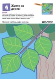 Книга Ранок KUMON. Перші кроки. Нумо клеїти! - Тору Кумон (С763014У) - Pampik - 4