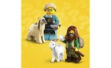 Фігурка-сюрприз для конструкторів LEGO Minifigures Міні S25 (71045) - Pampik - 6