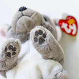 М'яка іграшка TY Beanie Babies Сірий пес Wilfred, 22 см (40596) - Pampik - 3