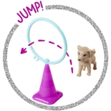 Игровой набор Simba Steffi & Evi Love Кукла Штеффи Тренировочная площадка для собачек (5733991) - Pampik - 6