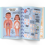 Меганаліпки. Тіло людини (F00023548) - Pampik - 2