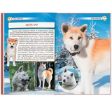 Енциклопедія. Собаки (F00028100) - Pampik - 9