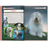 Енциклопедія. Собаки (F00028100) - Pampik - 8