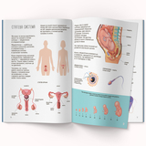 Книжка з наліпками. Тіло людини (F00027785) - Pampik - 4