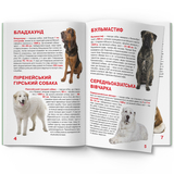 Світ навколо нас. Велика книжка. Службові собаки (F00014405) - Pampik - 4
