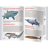 Світ навколо нас. Велика книжка. Акули (F00018784) - Pampik - 4