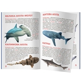 Світ навколо нас. Велика книжка. Акули (F00018784) - Pampik - 3