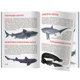 Світ навколо нас. Велика книжка. Акули (F00018784) - Pampik - 2