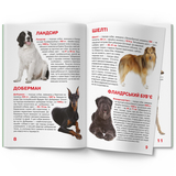 Світ навколо нас. Велика книжка. Службові собаки (F00014405) - Pampik - 2