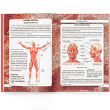 Фотоенциклопедія. Світ навколо нас. Тіло людини (F00022588) - Pampik - 7