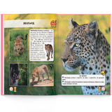 Фотоенциклопедія. Світ навколо нас. Великі кішки (F00021260) - Pampik - 9