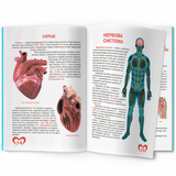 Світ навколо нас. Велика книжка. Анатомія людини (F00014783) - Pampik - 2