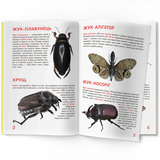 Світ навколо нас. Велика книжка. Жуки (F00018115) - Pampik - 5