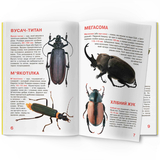Світ навколо нас. Велика книжка. Жуки (F00018115) - Pampik - 4