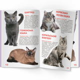Світ навколо нас. Велика книжка. Кішки (F00013018) - Pampik - 4