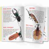Світ навколо нас. Велика книжка. Жуки (F00018115) - Pampik - 2