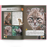 Фотоенциклопедія. Світ навколо нас. Великі кішки (F00021260) - Pampik - 6