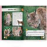 Фотоенциклопедія. Світ навколо нас. Великі кішки (F00021260) - Pampik - 7