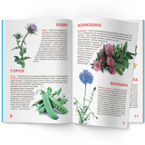Світ навколо нас. Велика книжка. Рослинний світ України (F00012692) - Pampik - 3