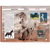 Фотоенциклопедія. Світ навколо нас. Коні (F00021087) - Pampik - 7