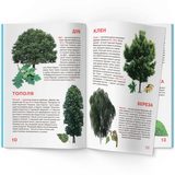 Світ навколо нас. Велика книжка. Рослинний світ України (F00012692) - Pampik - 2