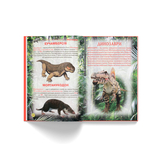 Динозаври та інші давні тварини (F00012370) - Pampik - 6