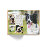 Фотоенциклопедія. Світ навколо нас. Собаки (F00021089) - Pampik - 6