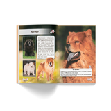 Фотоенциклопедія. Світ навколо нас. Собаки (F00021089) - Pampik - 9