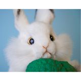 М'яка іграшка на руку Hansa Puppet Білий кролик, 34 см (7156) - Pampik - 7